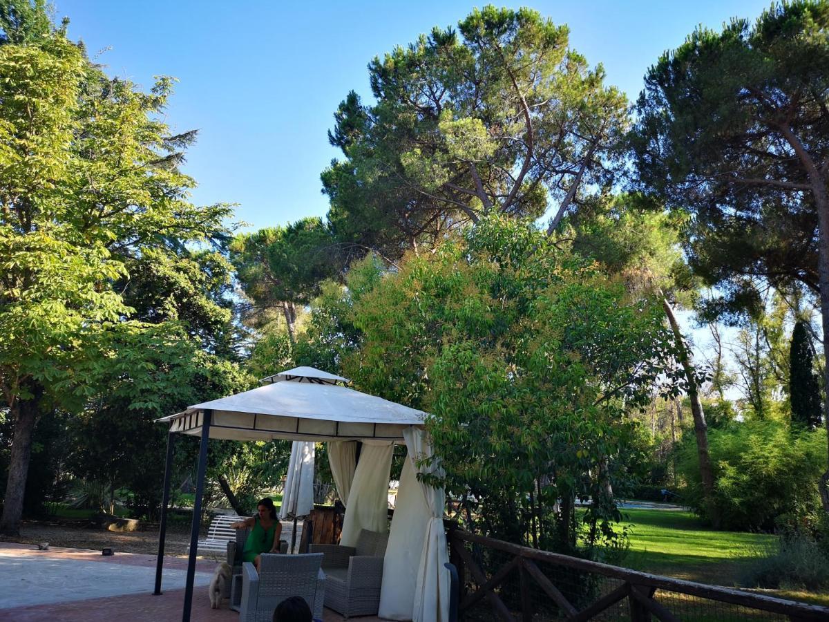 Agriturismo Tenuta La Muratella Ponte Galeria Luaran gambar