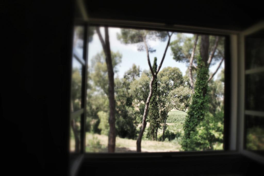 Agriturismo Tenuta La Muratella Ponte Galeria Luaran gambar